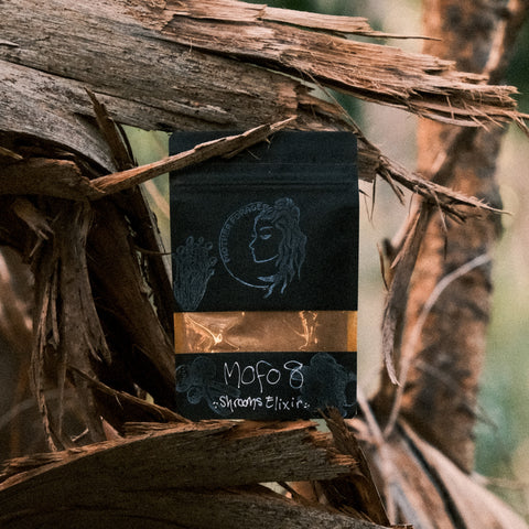 MOFO 8 Mushroom Elixir
