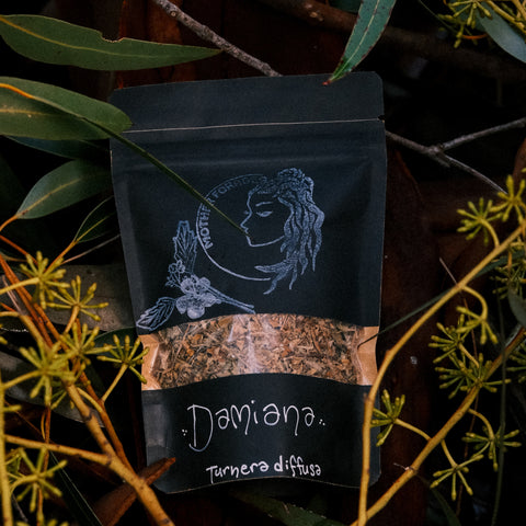 Damiana - Turnera diffusa
